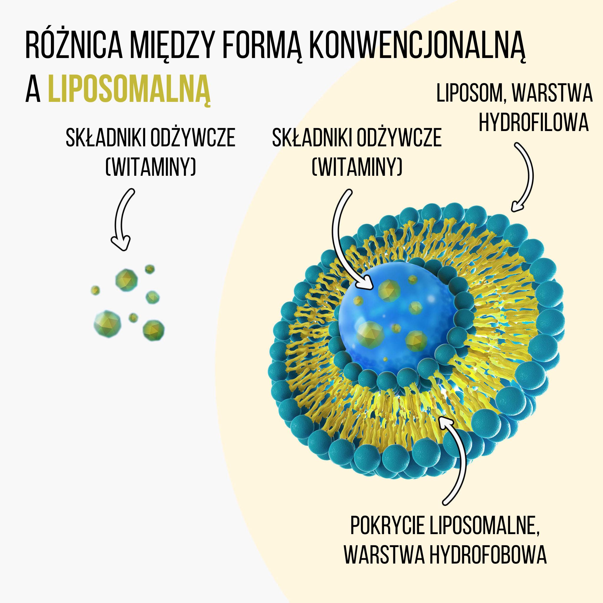 (Polština) - 2024-09-17T133508.621